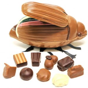 Großer Schoko-Maikäfer mit farbenfrohen Dekor und Flügeln, gefüllt mit Pralinen
