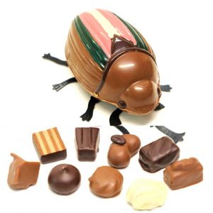 Großer Schoko-Maikäfer mit farbenfrohem Dekor, gefüllt mit Pralinen