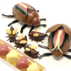 Schoko Maikäfer
